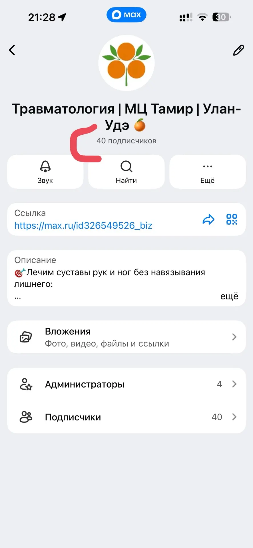 Канал Ольги Муркиной в МАКС с 40 подписчиками