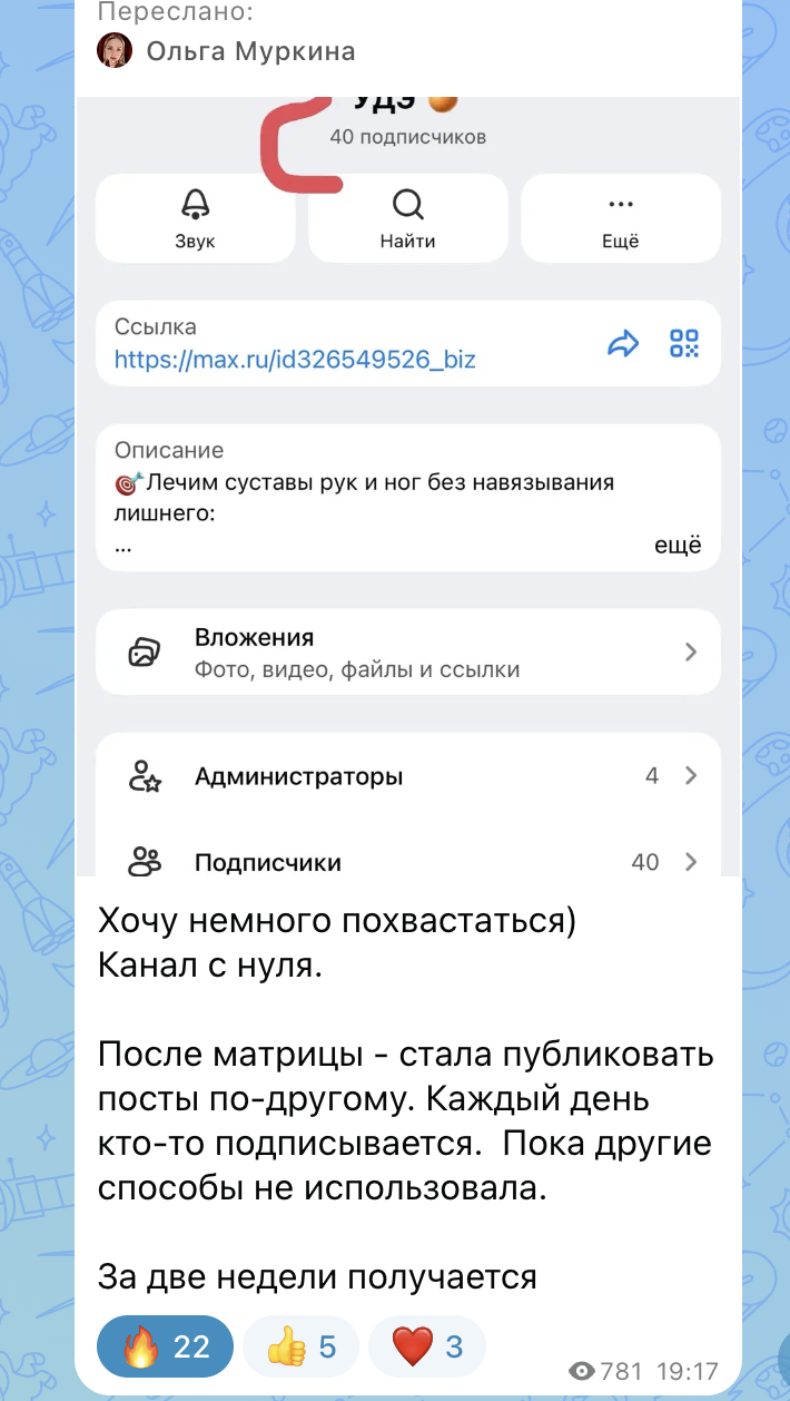 Рассказ Ольги Муркиной о первых 40 подписчиках за две недели