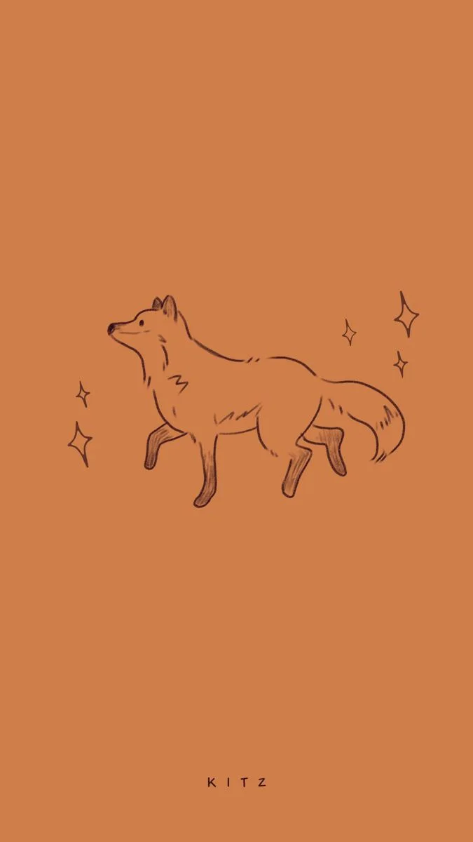 Little fox
