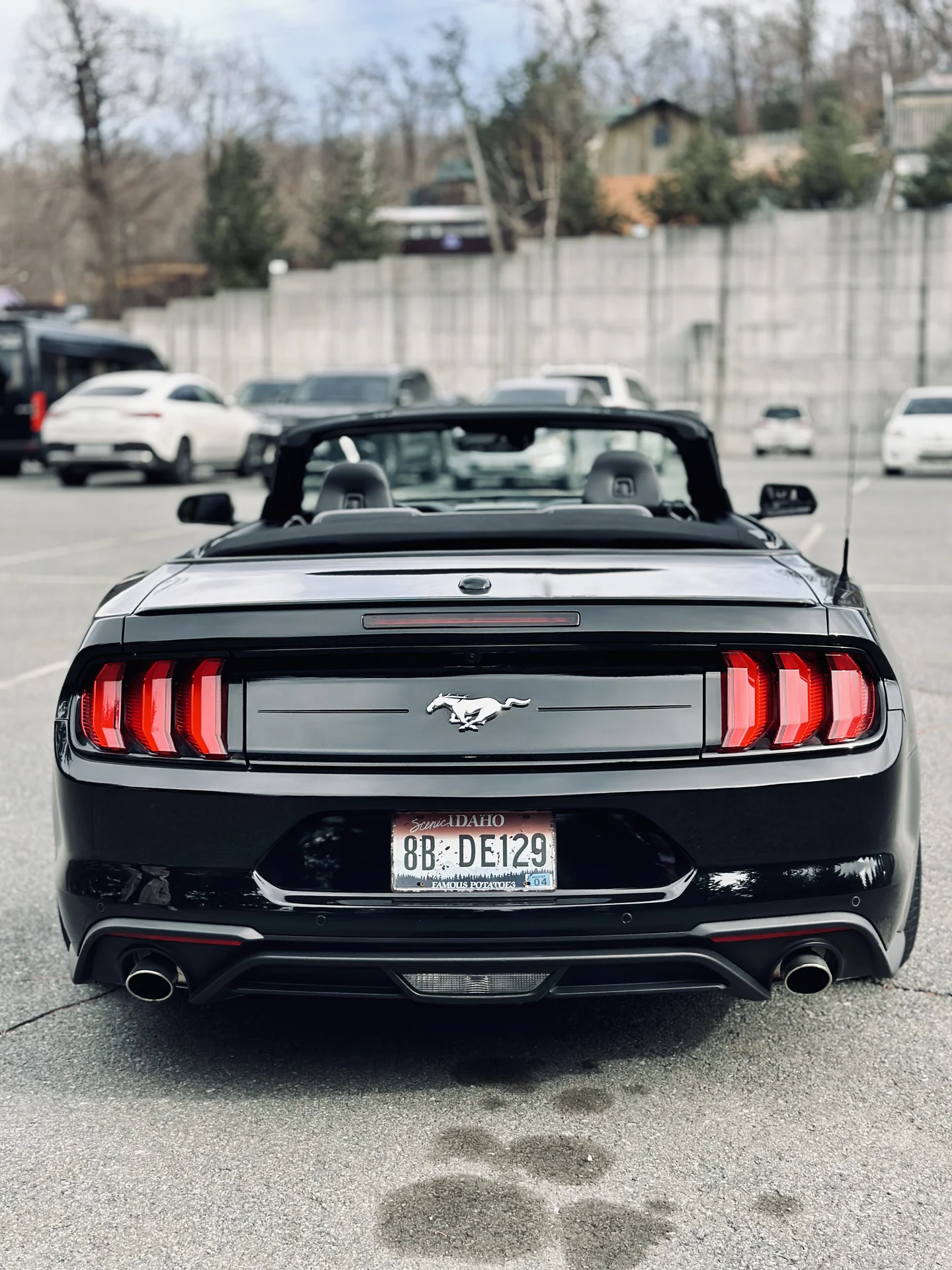Аренда/прокат кабриолета Ford Mustang Форд Мустанг - миниатюра 4