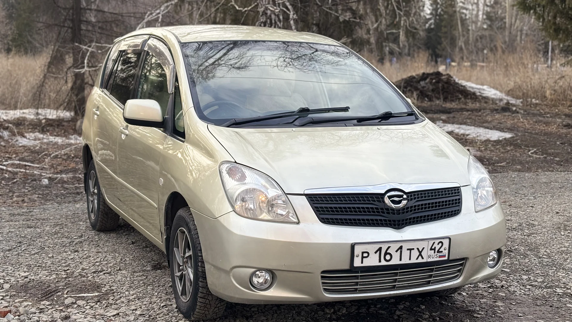 Toyota Corolla spacious - изображение 1