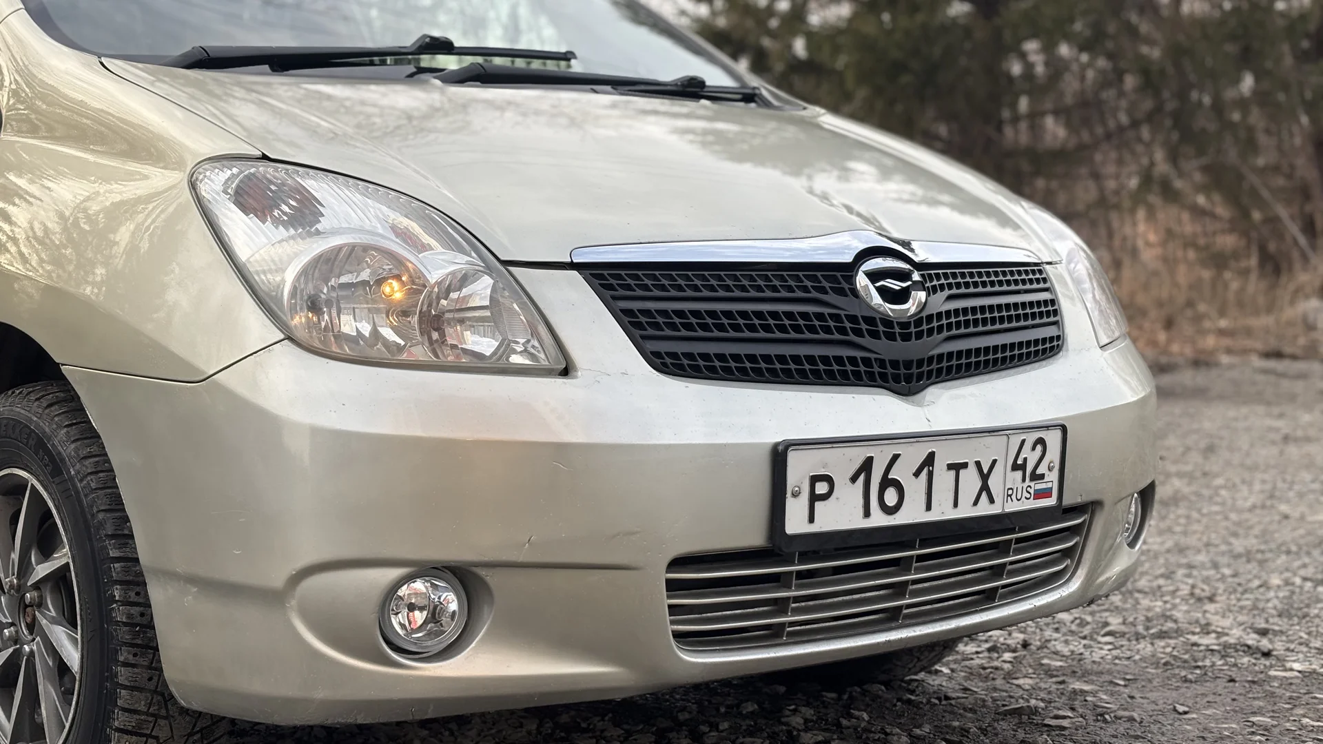 Toyota Corolla spacious - миниатюра 3
