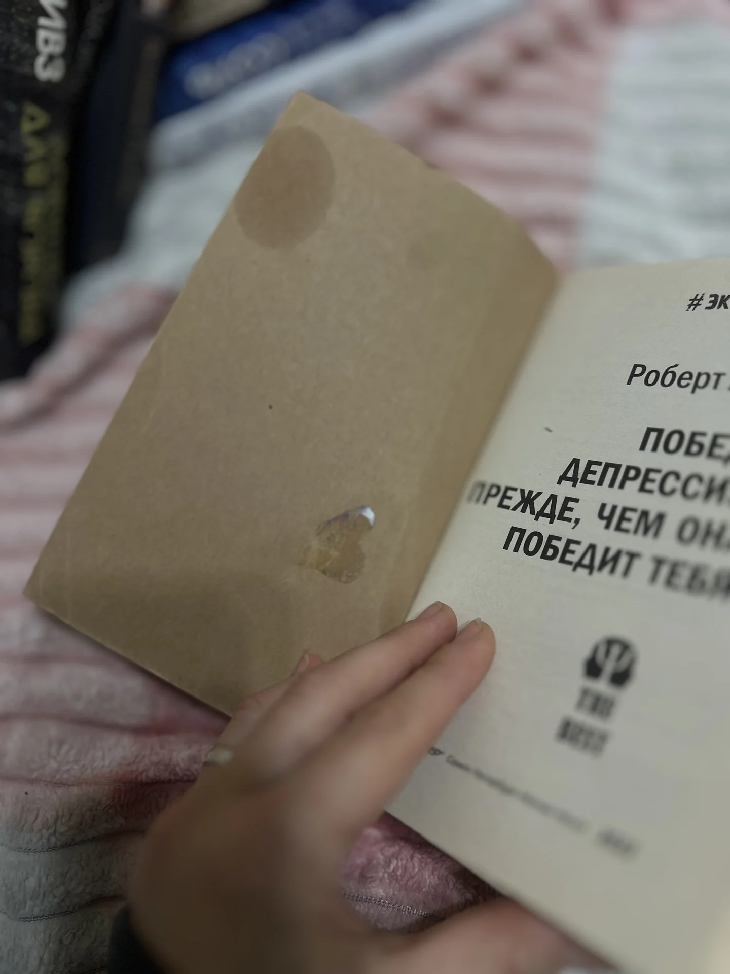 Книга - миниатюра 2