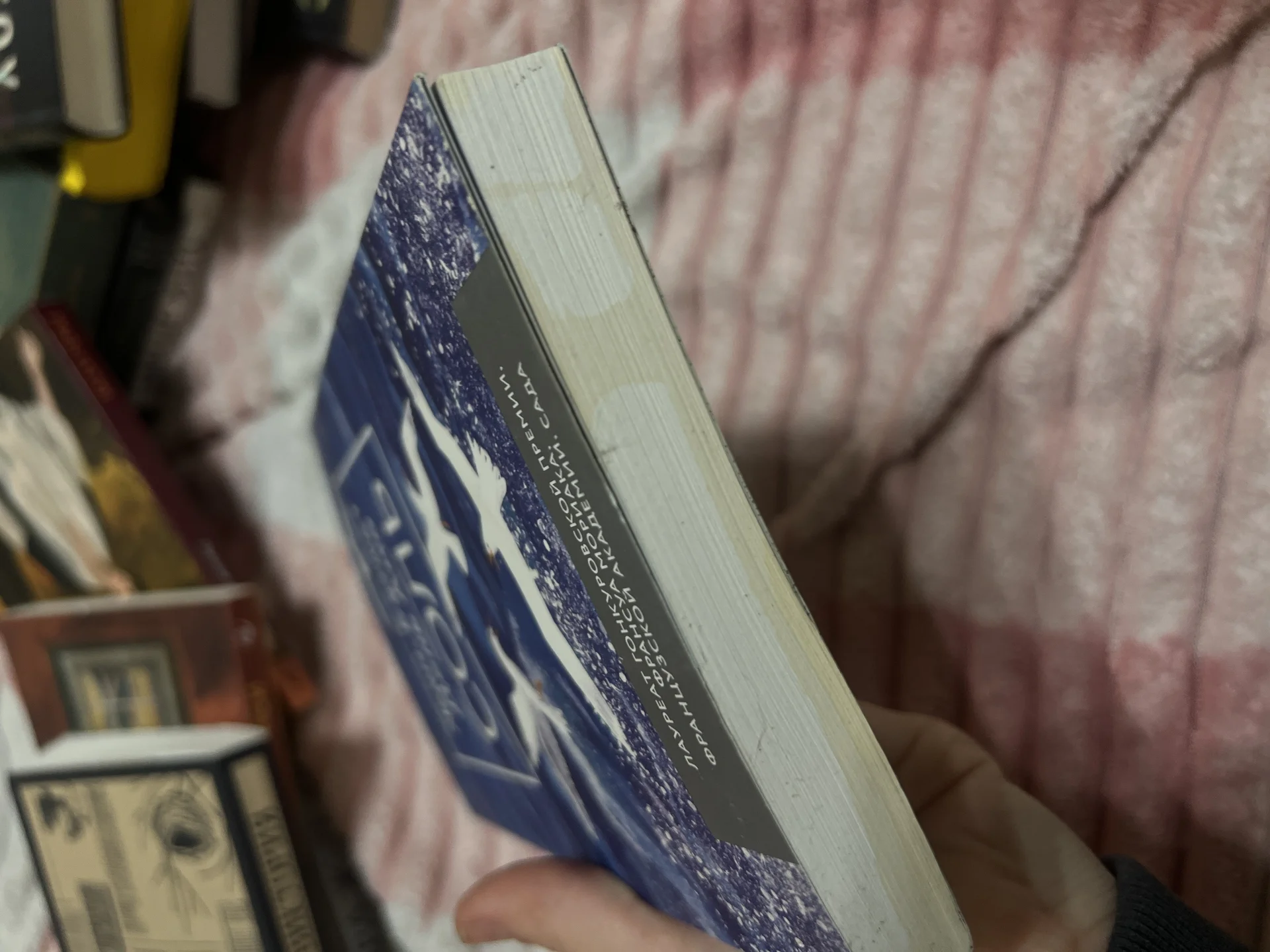 Книга - миниатюра 2