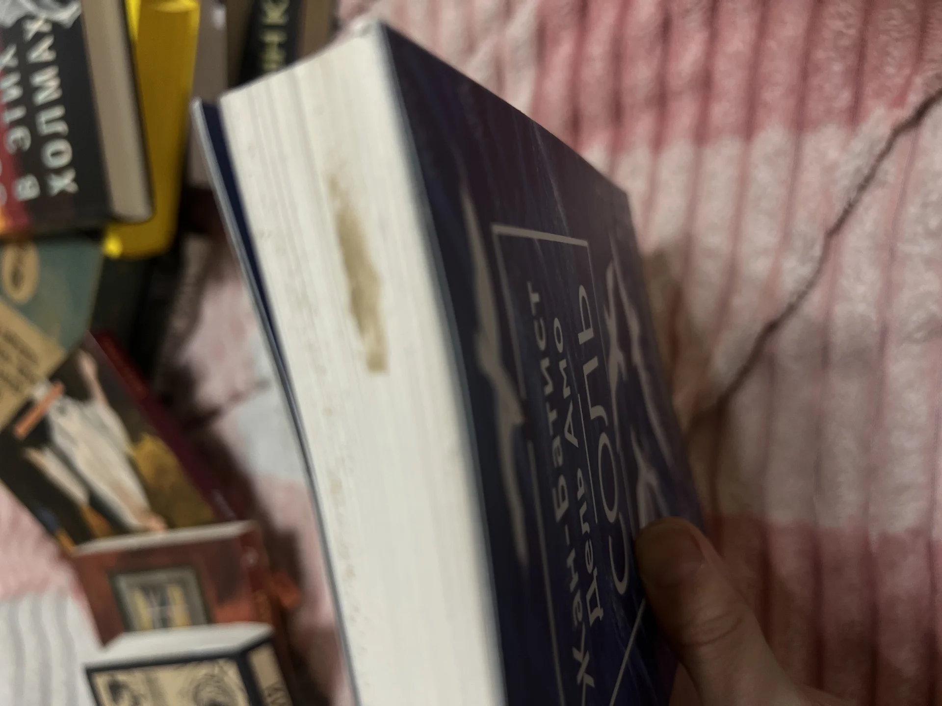 Книга - миниатюра 3