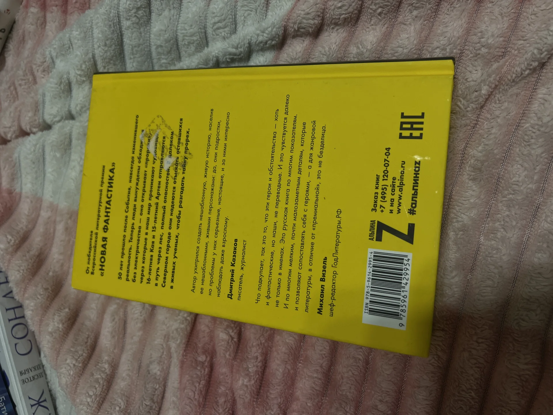 Книга - миниатюра 2