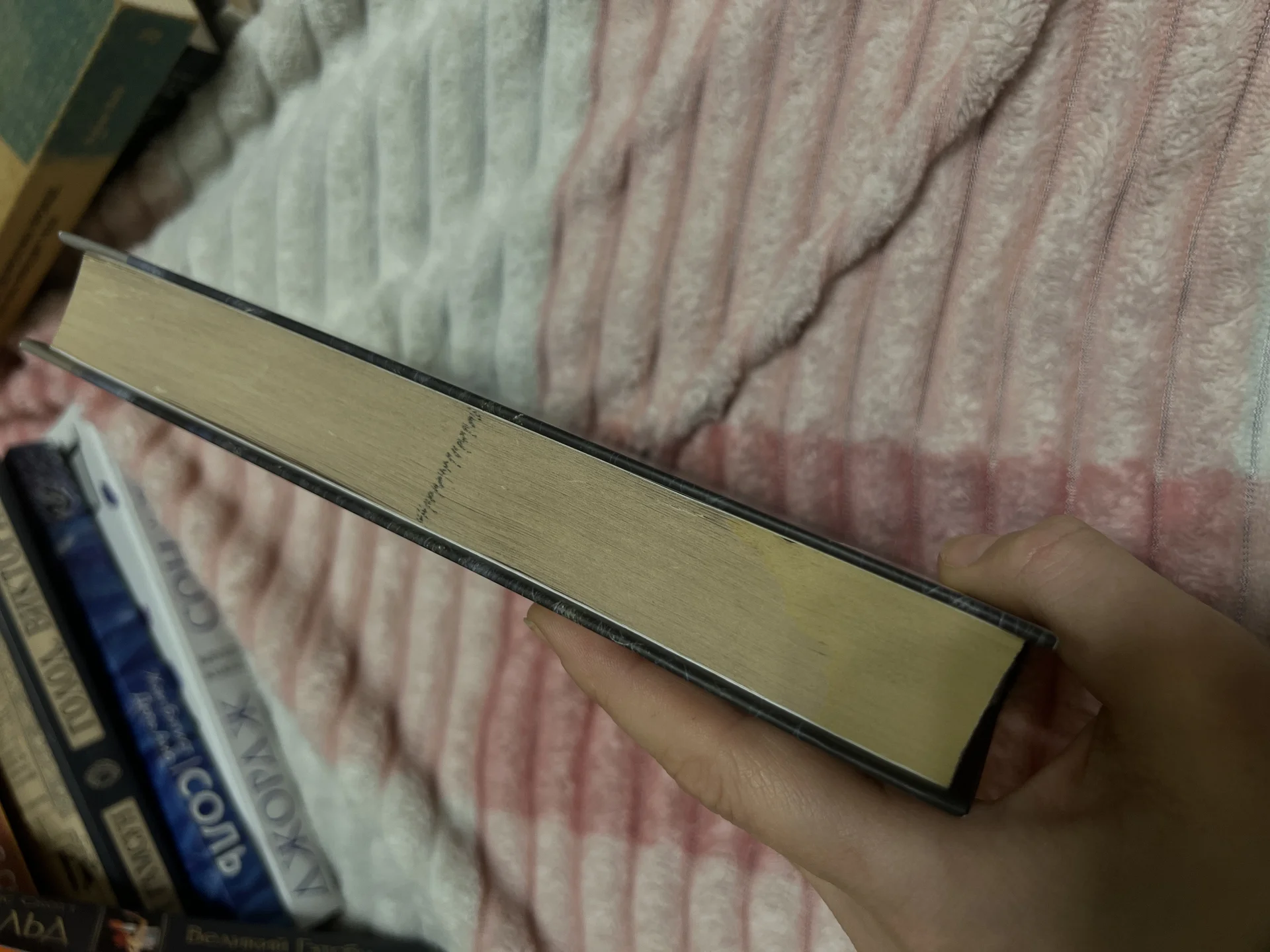 Книга - миниатюра 2