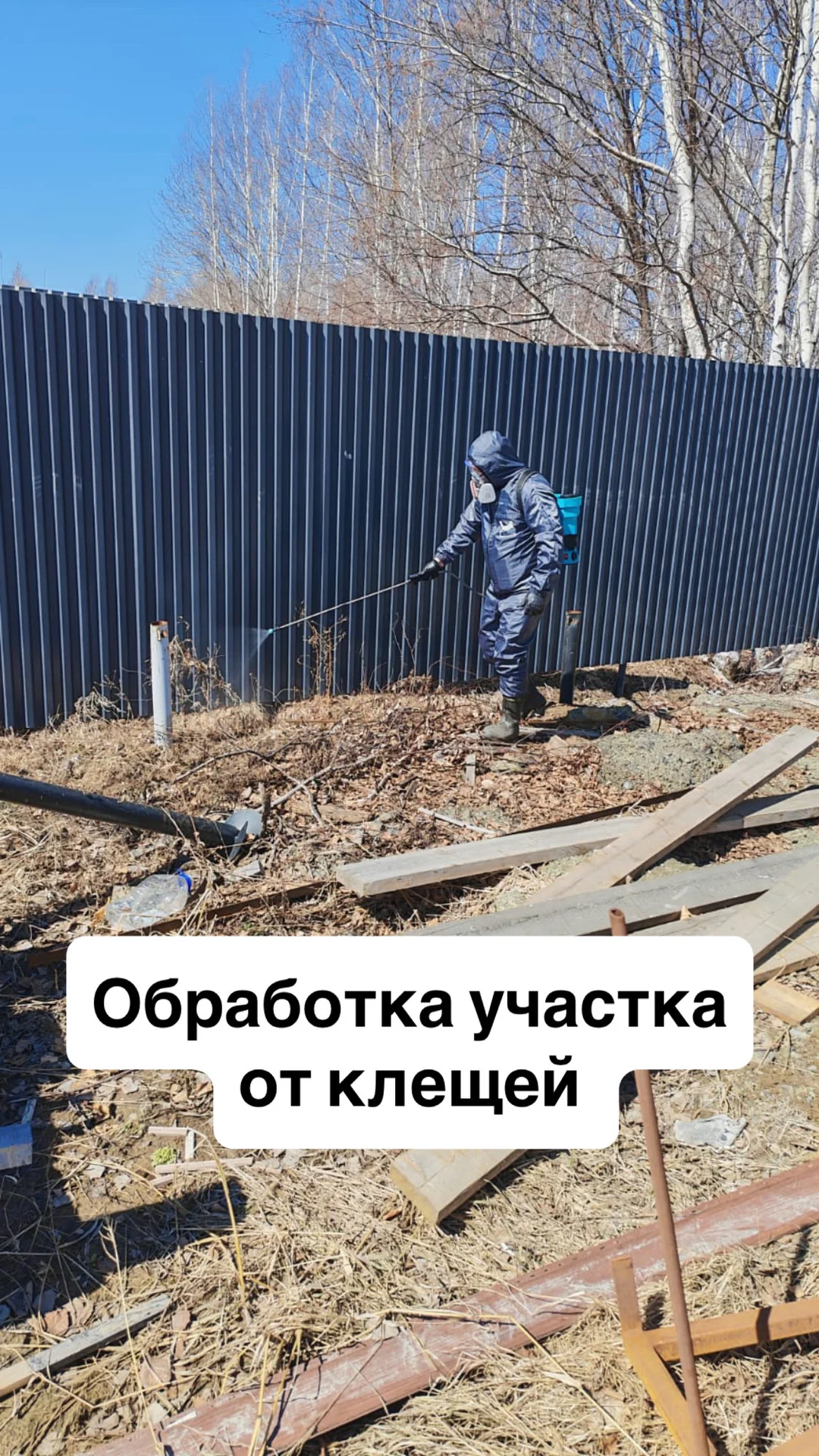 Дезинфекция дезинсекция уничтожение тараканов - миниатюра 3