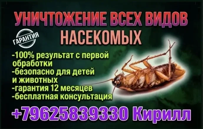 Дезинфекция дезинсекция уничтожение тараканов - миниатюра 4