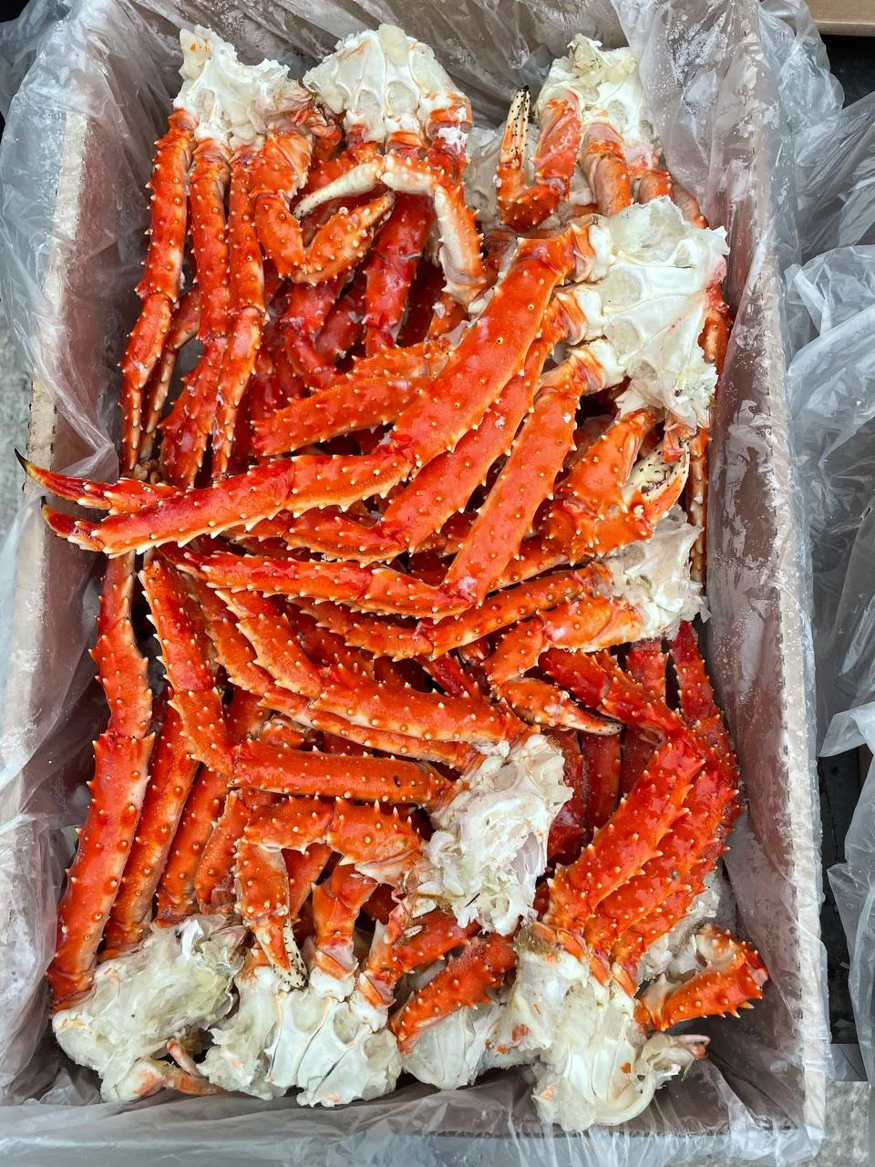 Камчатского краб размер S (Опт в регионы)