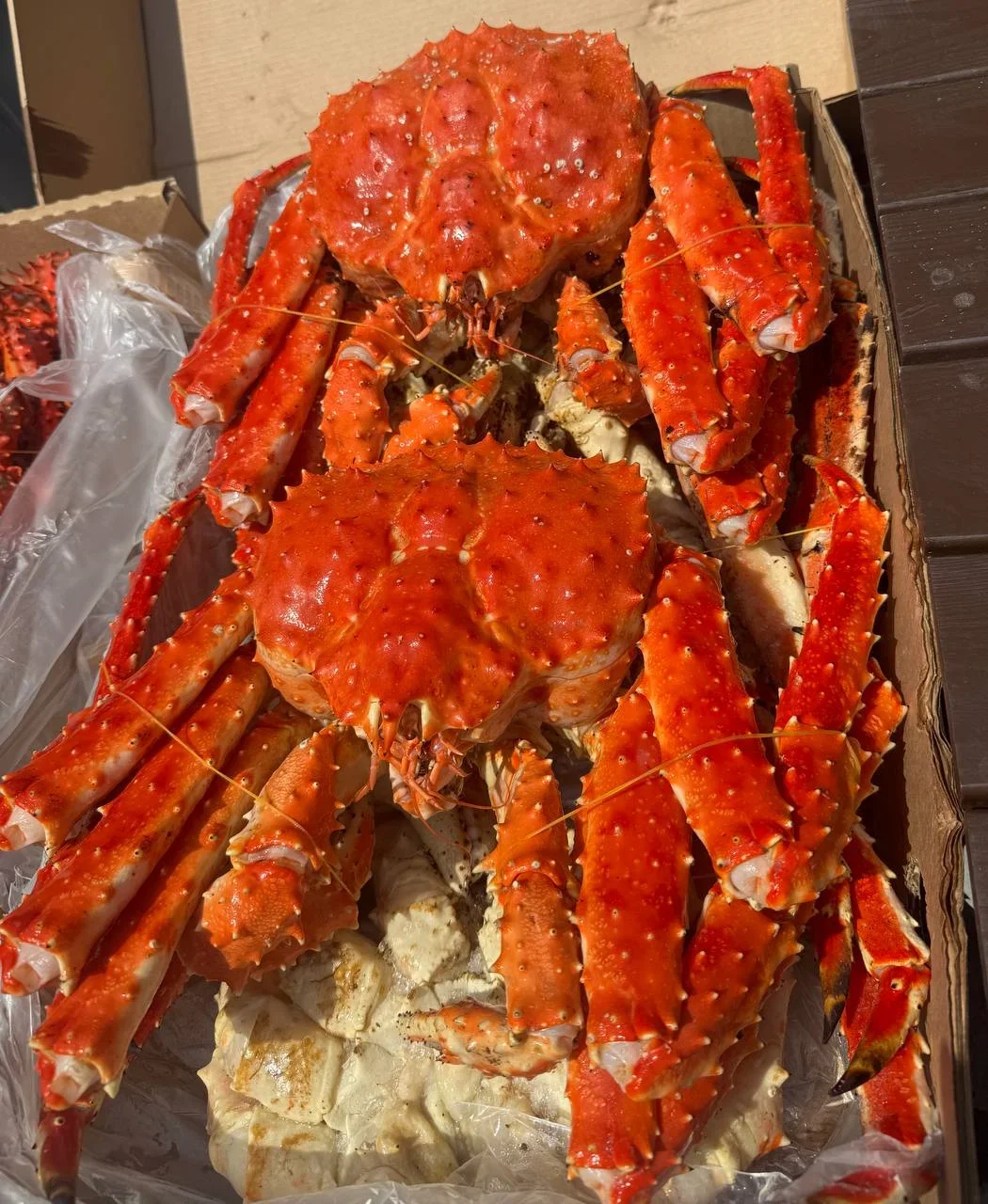 Подарочный камчатский краб (Опт в регионы)