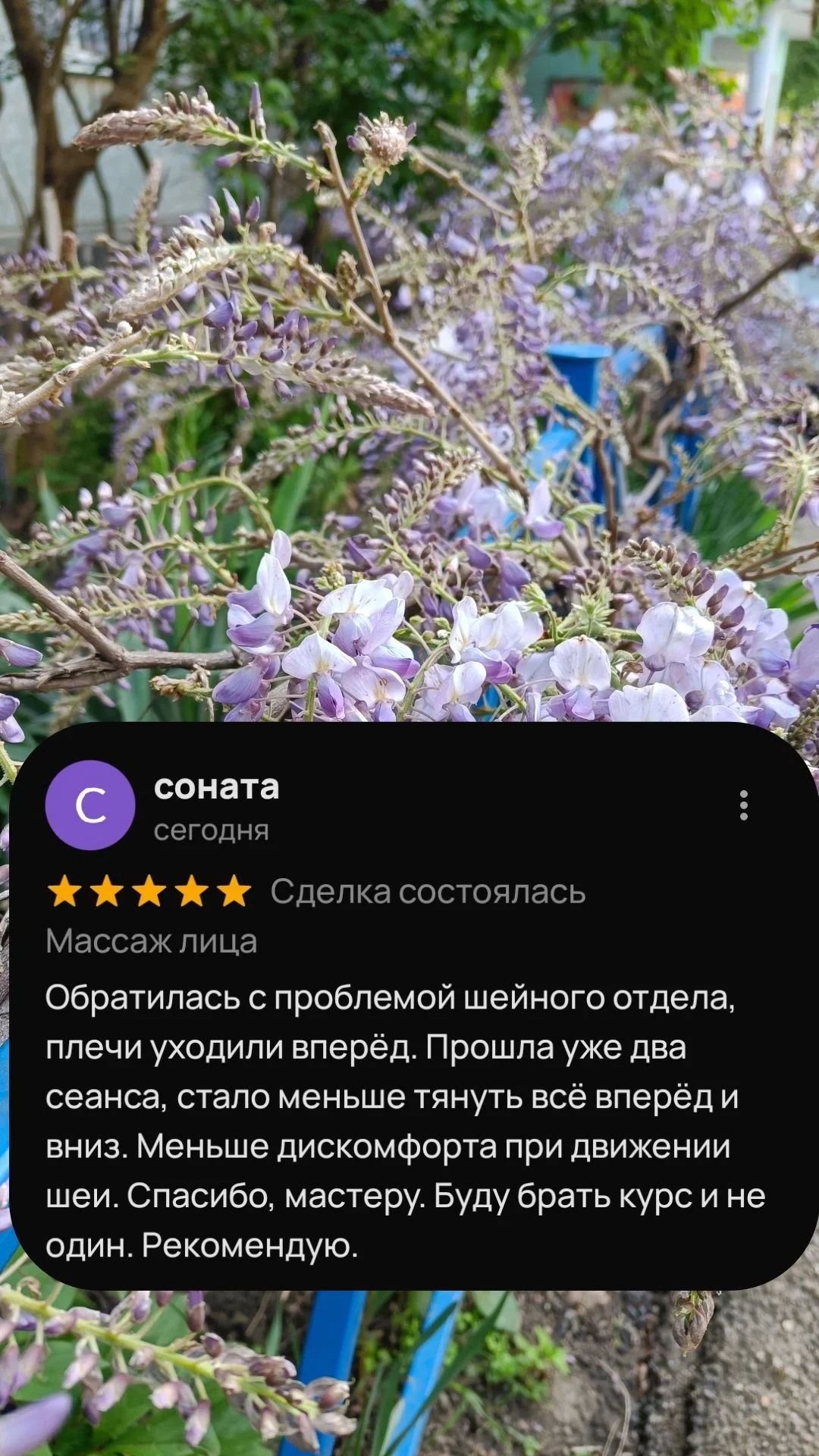 Массаж спины - миниатюра 6