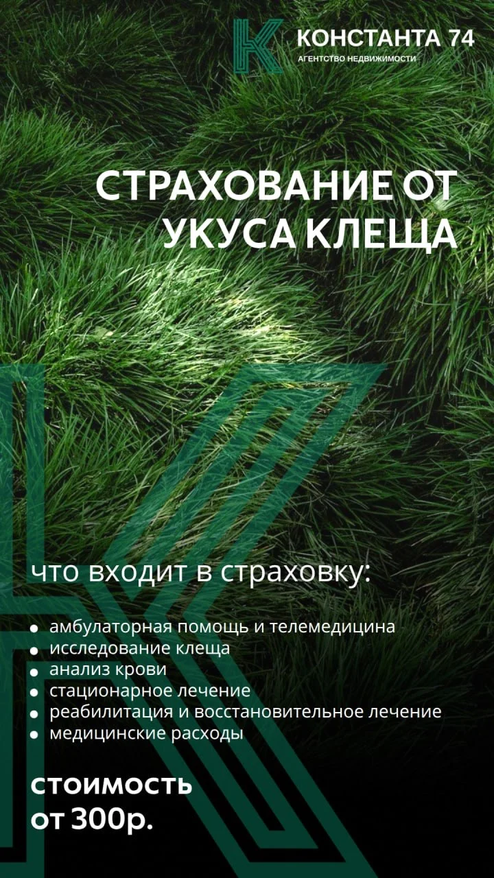 Создам рекламные посты/сторис - миниатюра 5
