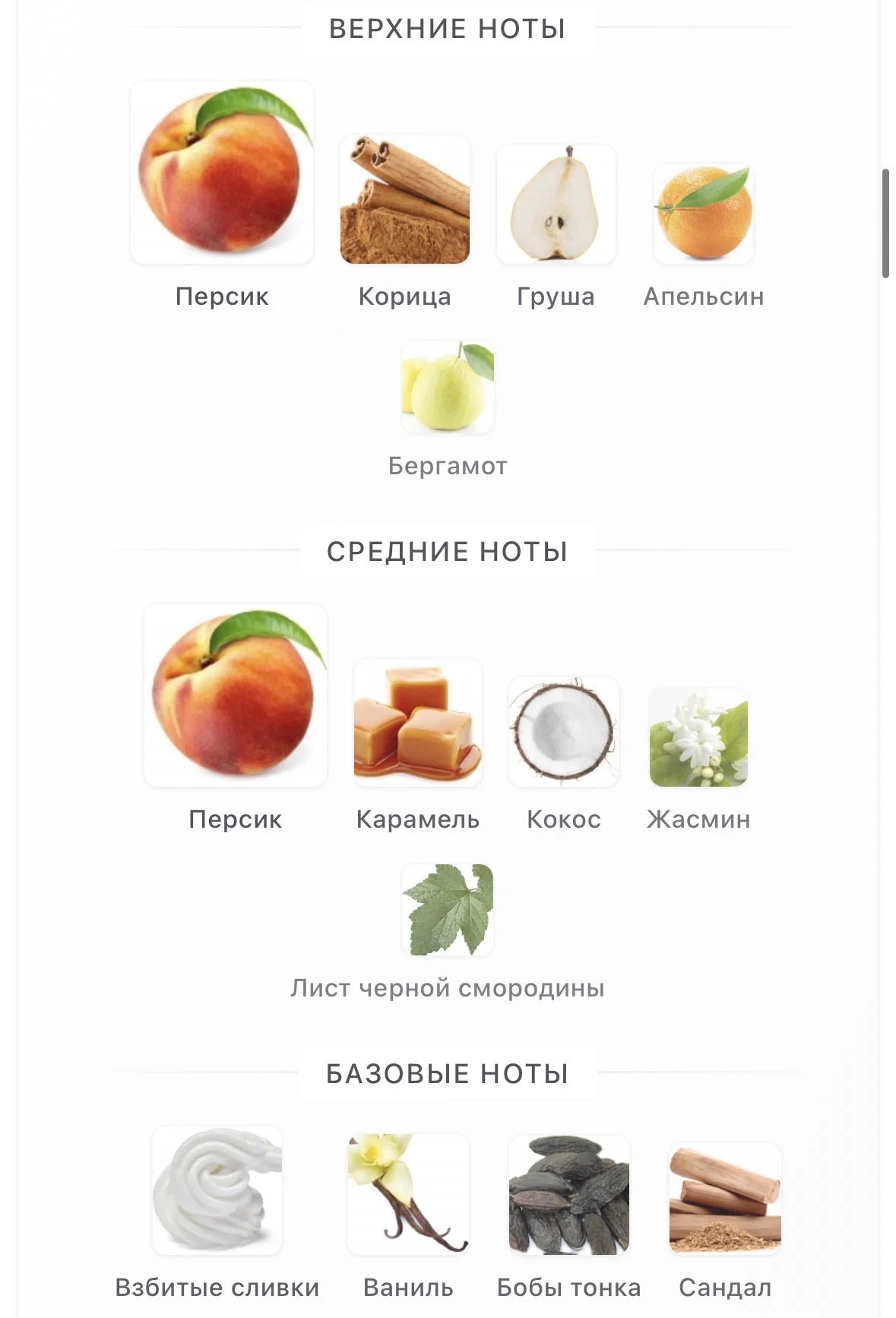 Richard Dirty Peach 100мл - миниатюра 3