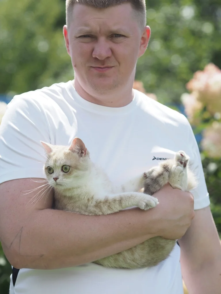 Британский котенок Амура - миниатюра 5
