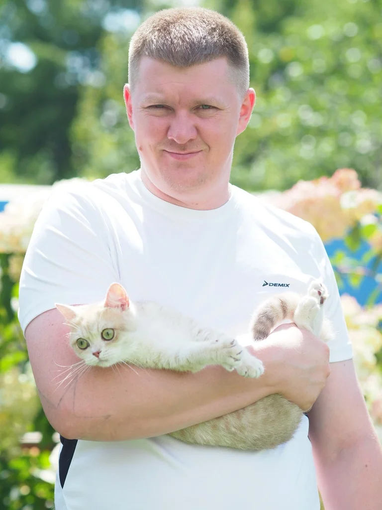 Британский котенок Амура - миниатюра 6
