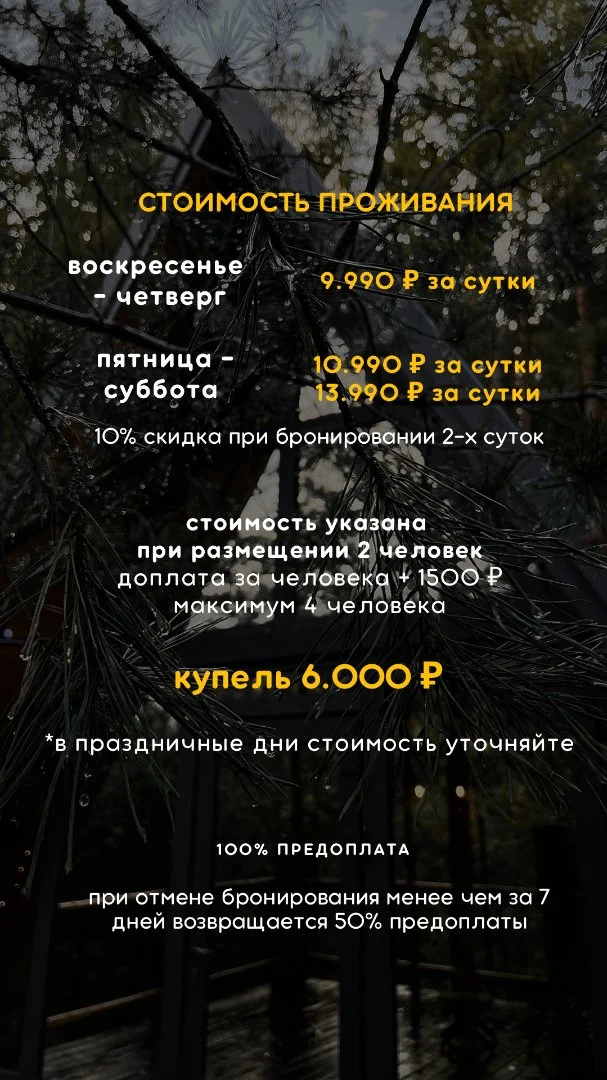 Хвойная Хижина Аренда треугольного дома в лесу - миниатюра 5
