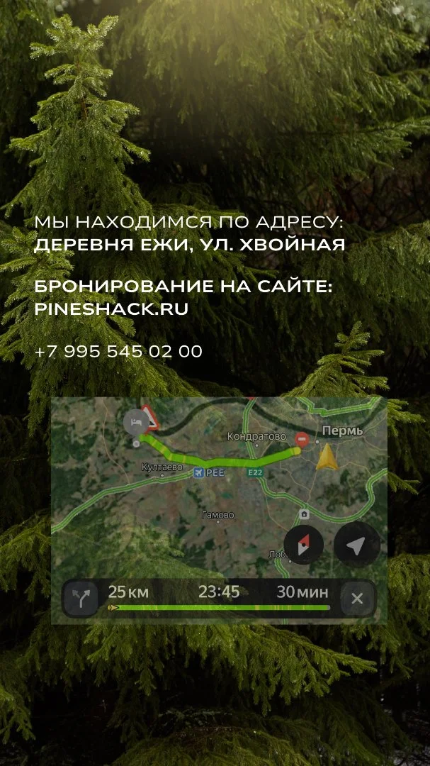 Хвойная Хижина Аренда треугольного дома в лесу - миниатюра 9