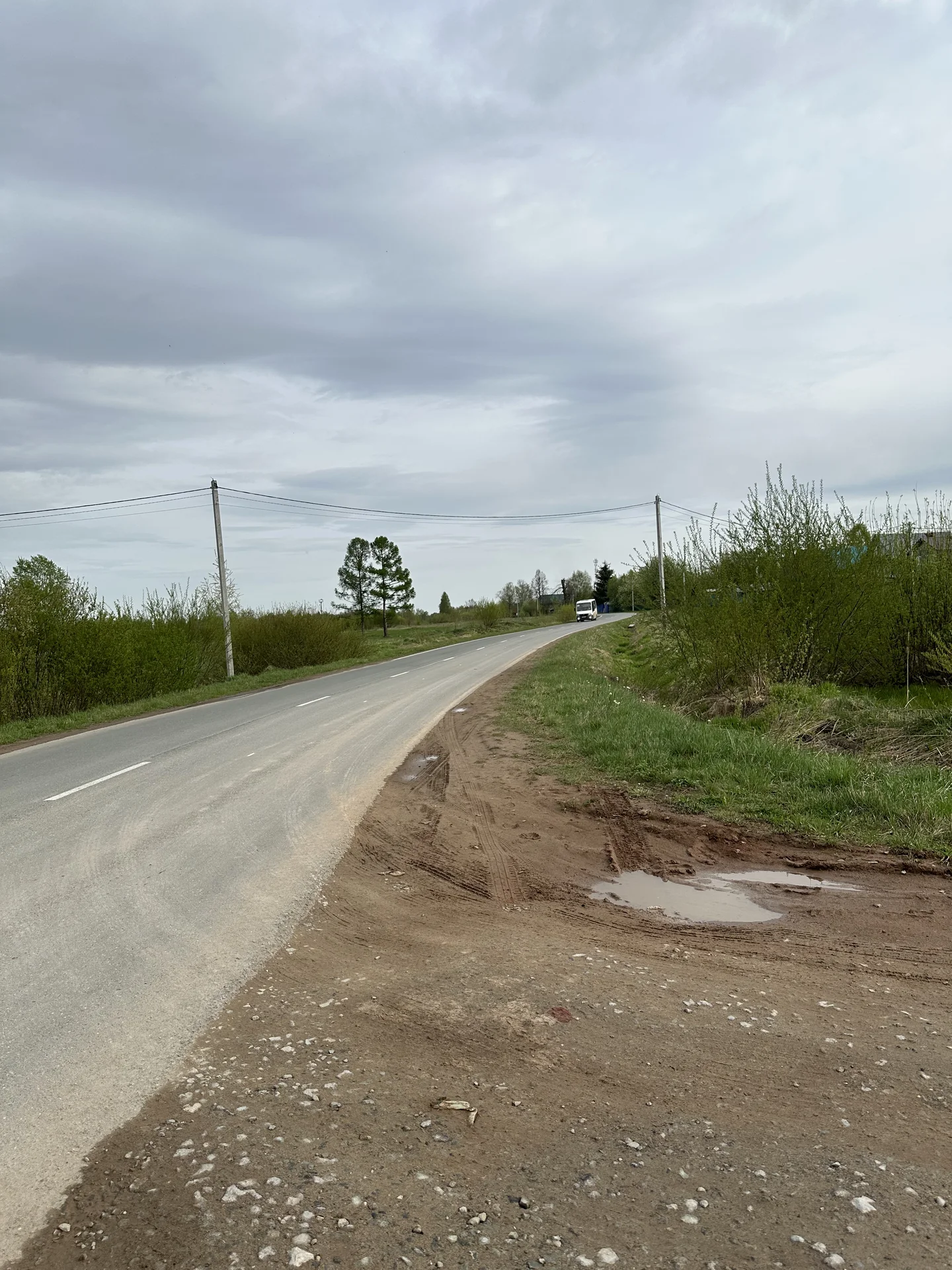 Участок 30 соток у леса / ЛПХ под усадьбу - миниатюра 9