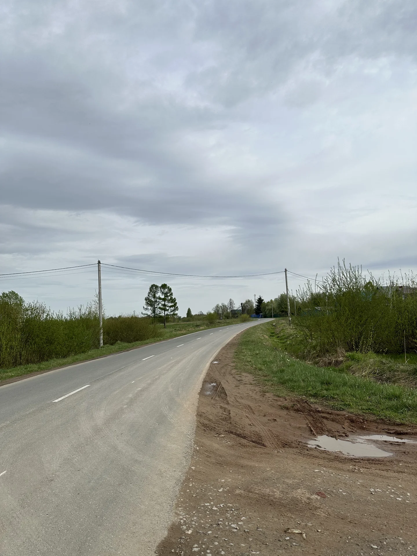Участок 30 соток у леса / ЛПХ под усадьбу - миниатюра 10