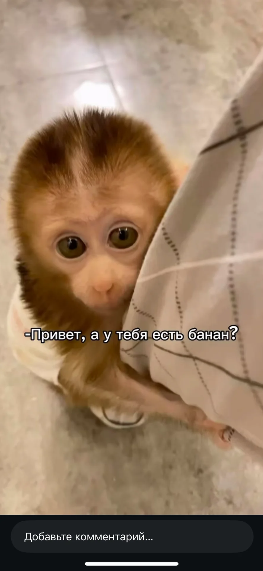 Грузоперевозки - миниатюра 7