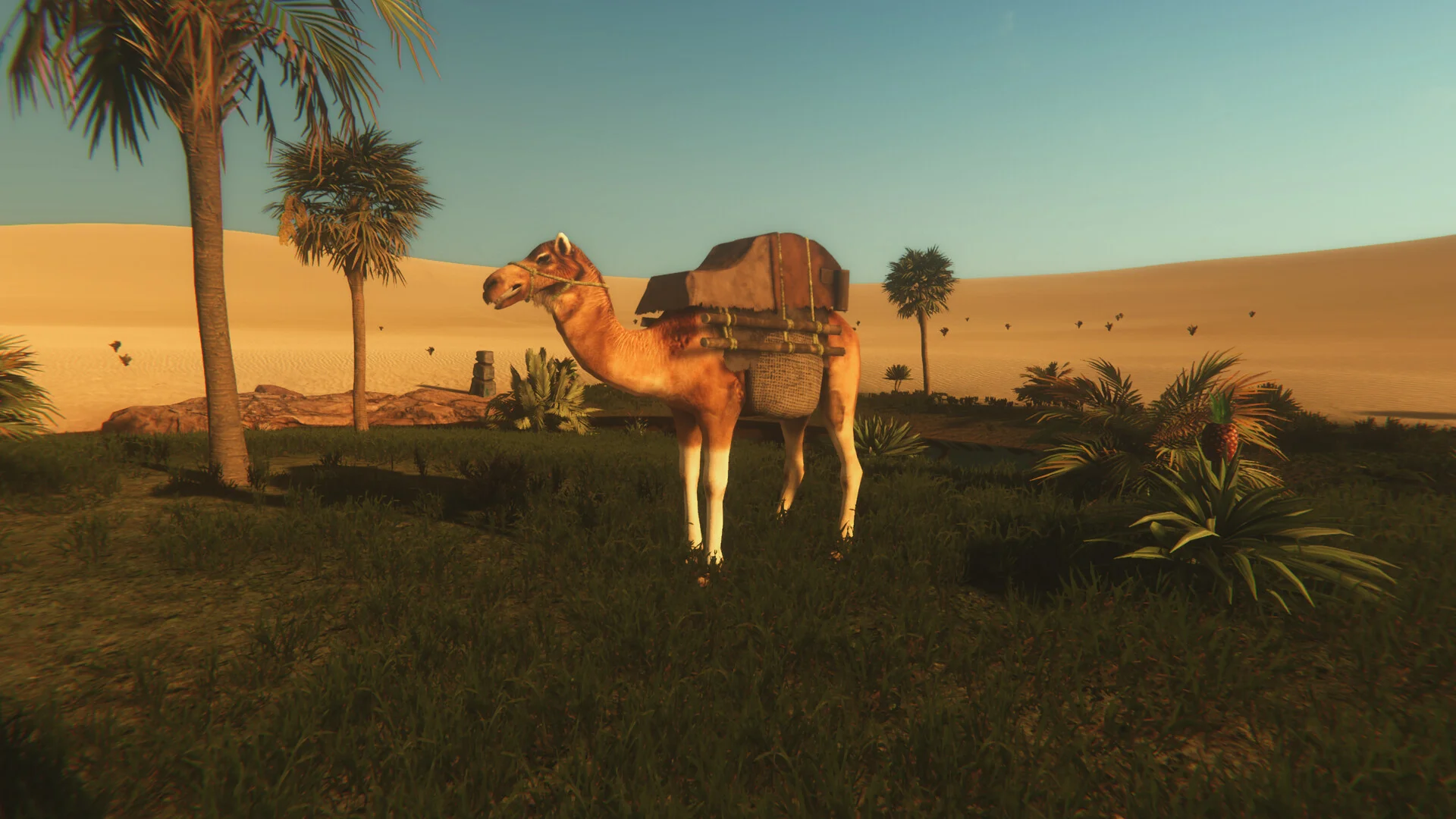 Starsand для Sony Ps4 - миниатюра 4