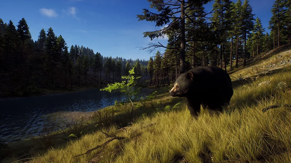 Way of the Hunter для X-Box Series X - миниатюра 4