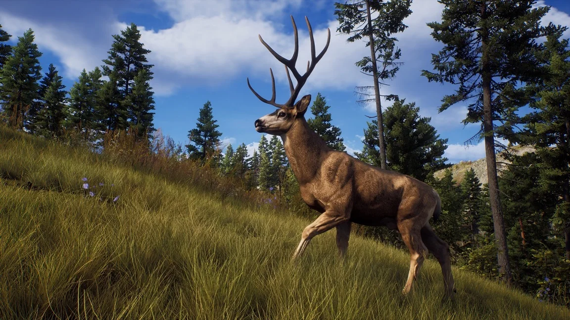 Way of the Hunter для X-Box Series X - миниатюра 6