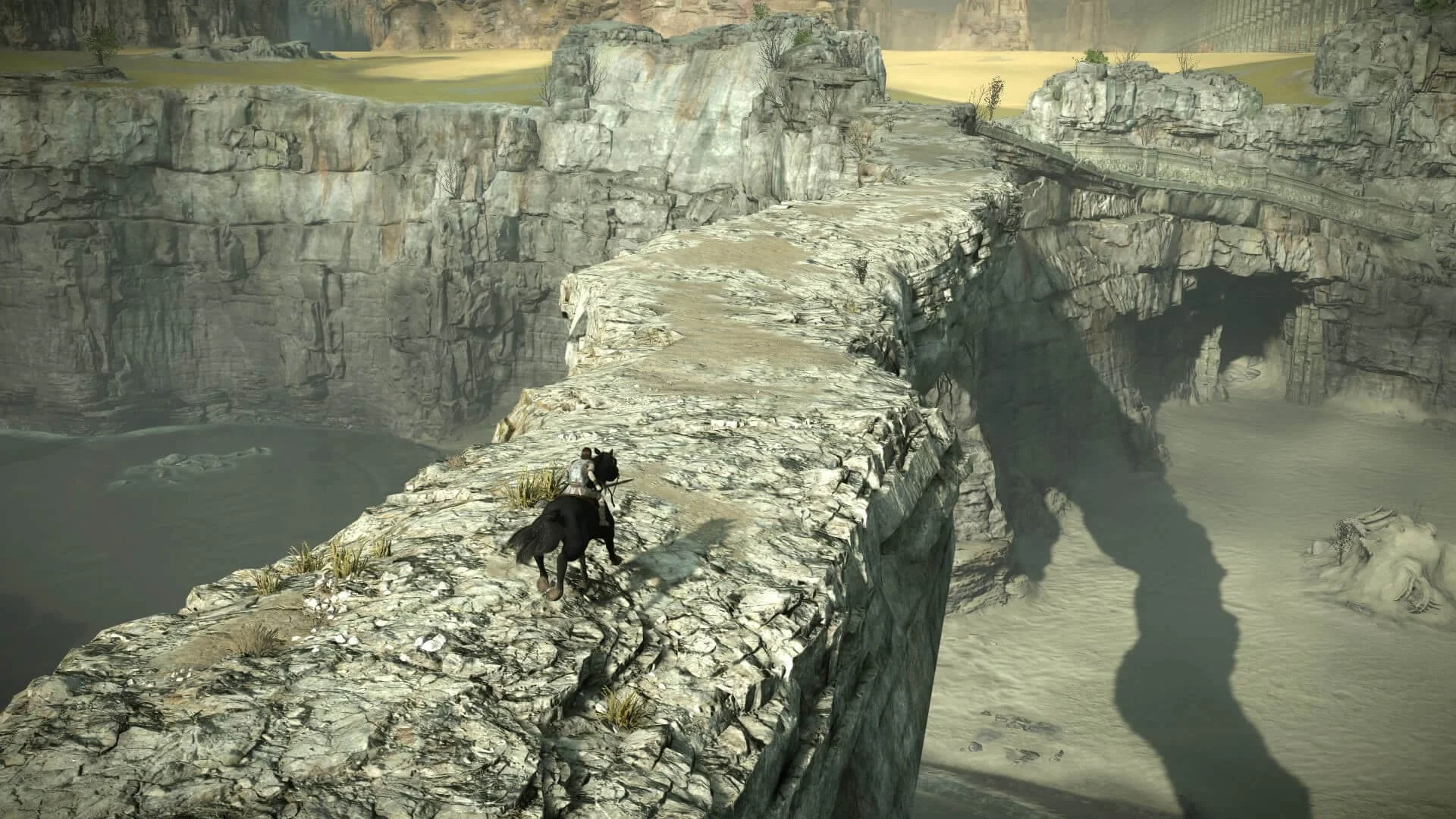 Shadow of the Colossus для Sony Ps4 - миниатюра 4