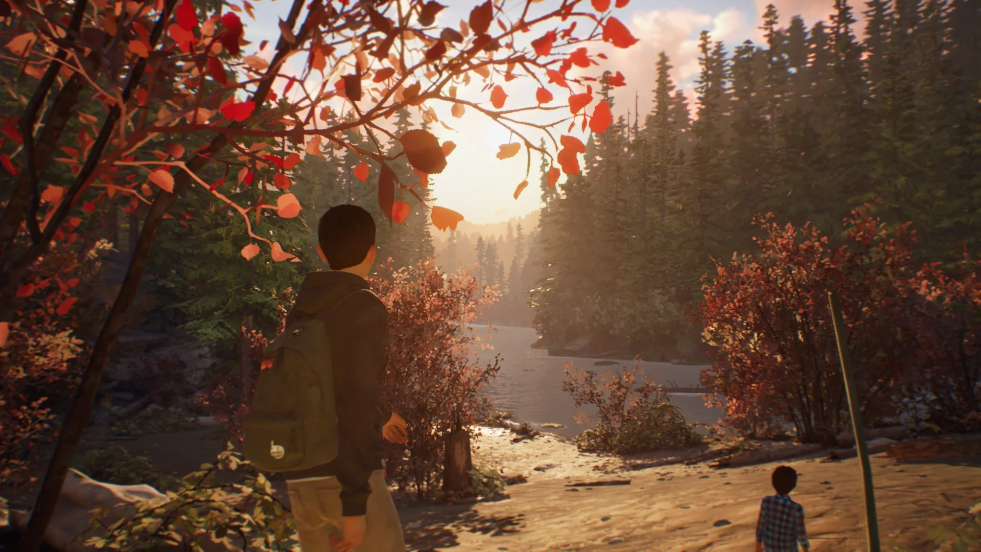 Life is Strange 2 для Sony Ps4 - миниатюра 4