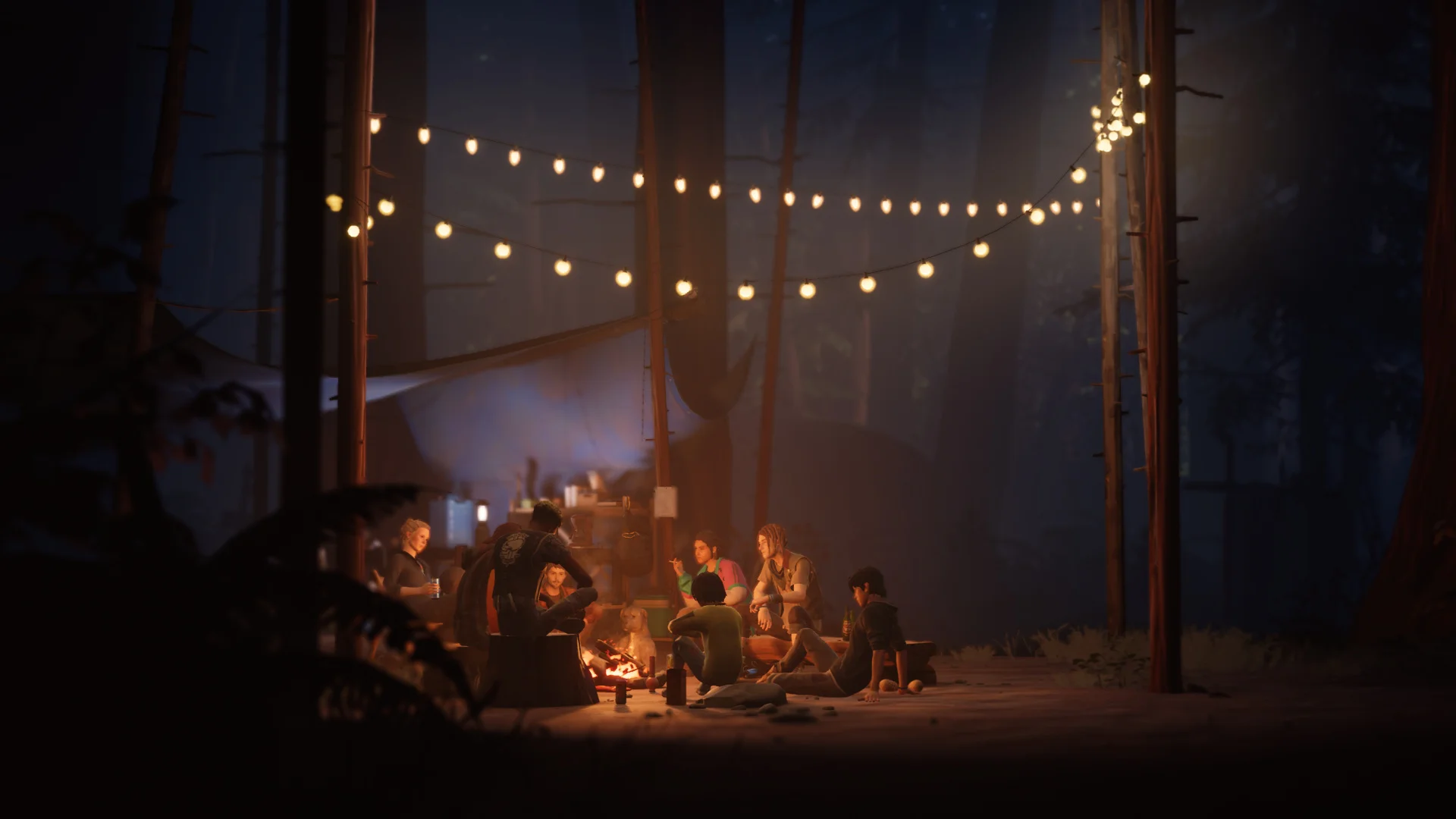 Life is Strange 2 для Sony Ps4 - миниатюра 6