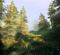 Hunting Simulator 2 для Sony Ps4 - миниатюра 2