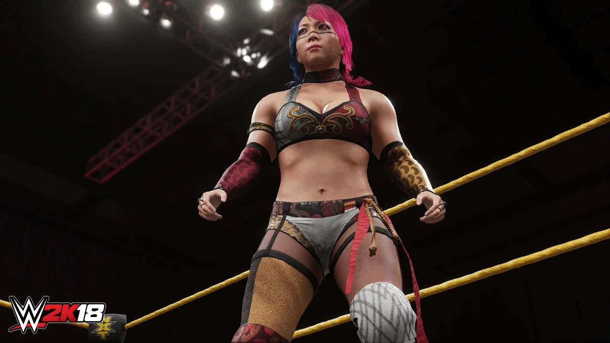 WWE 2K18 для X-Box One Б/У - миниатюра 2