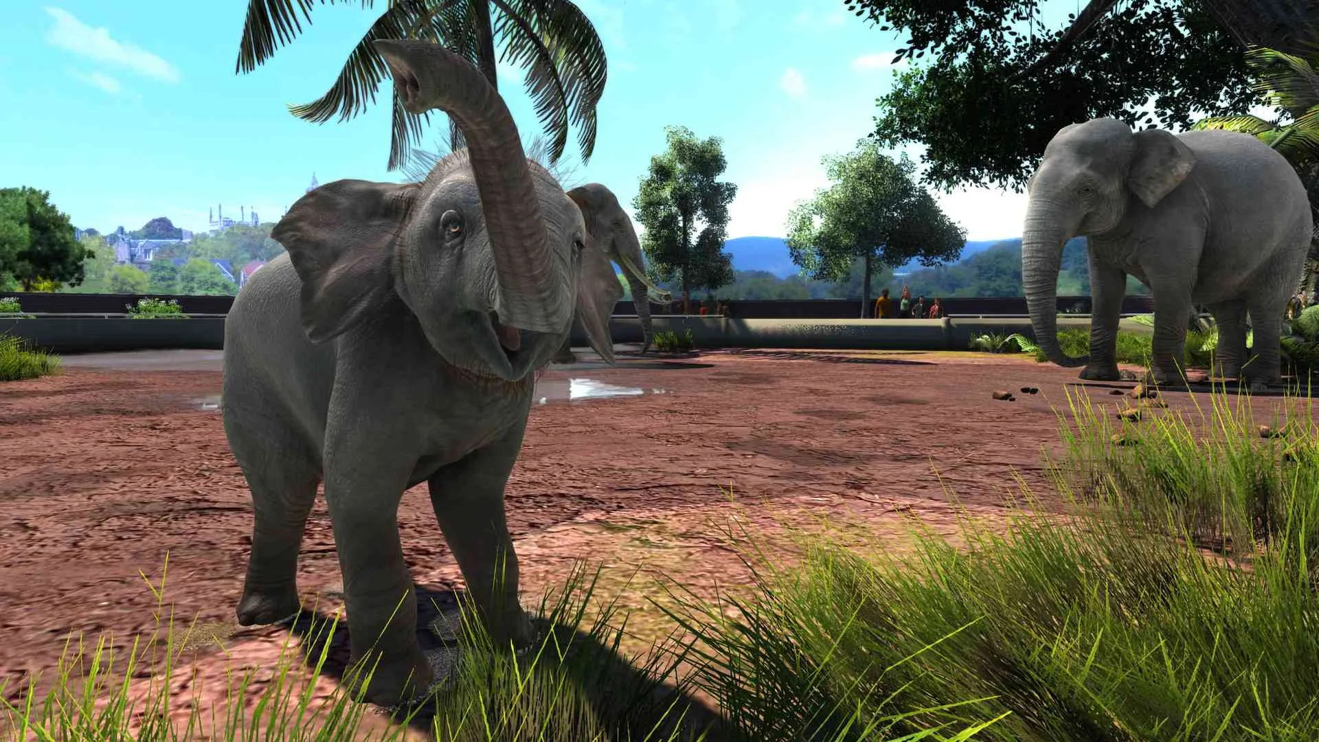 Zoo Tycoon для X-Box 360 Б/У - миниатюра 2