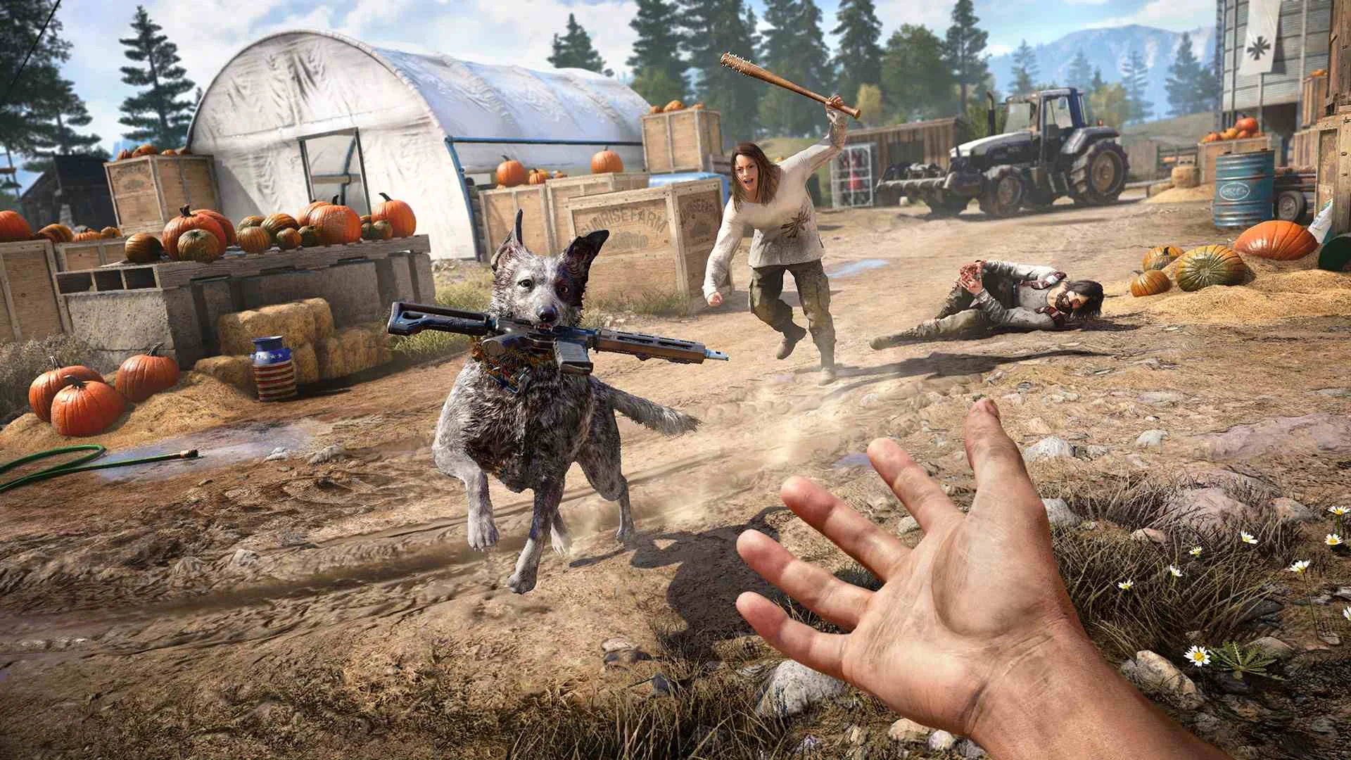 Far Cry 4 + Far Cry 5 для X-Box One - миниатюра 4