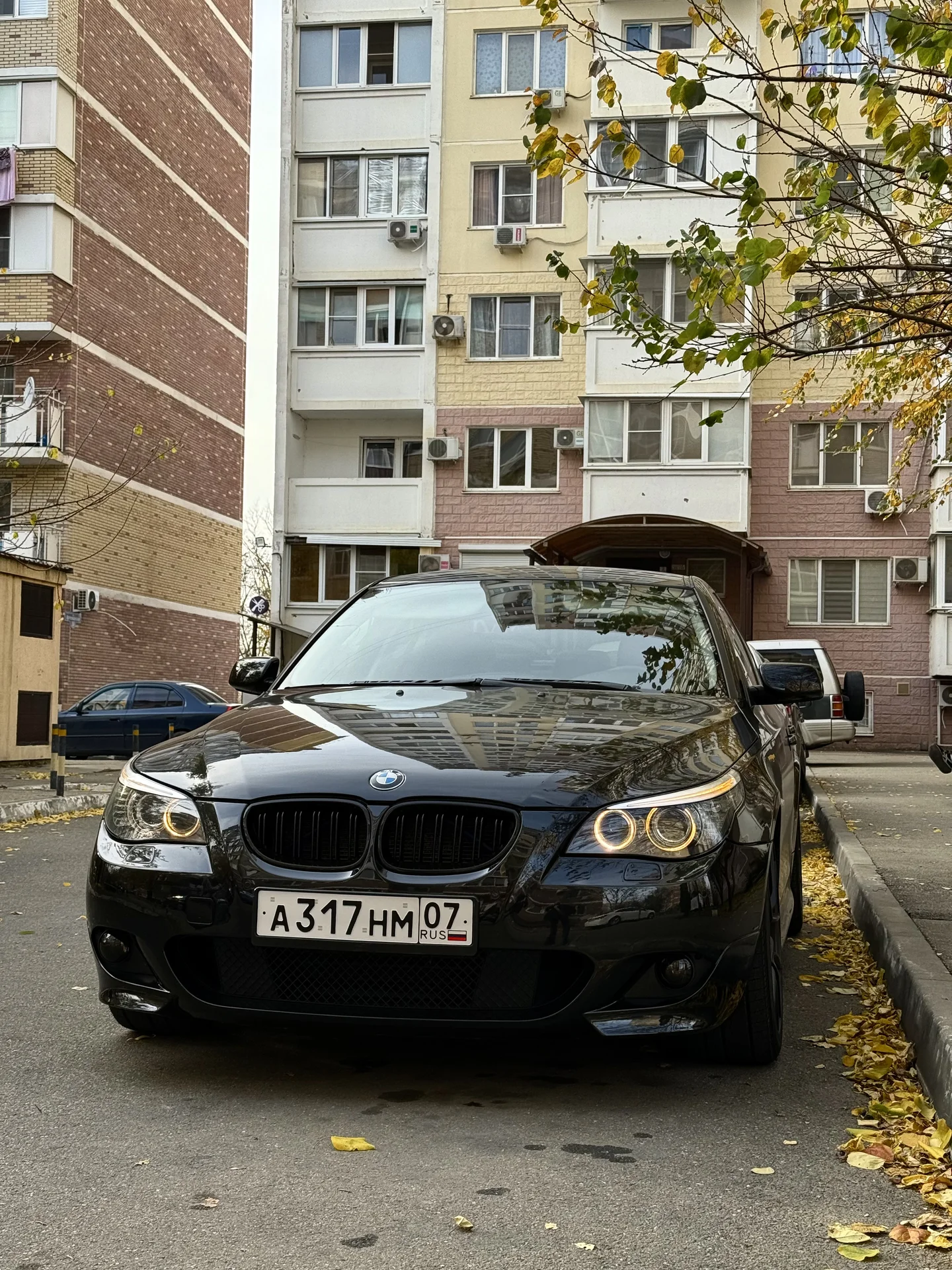 Черная пантера - миниатюра 2