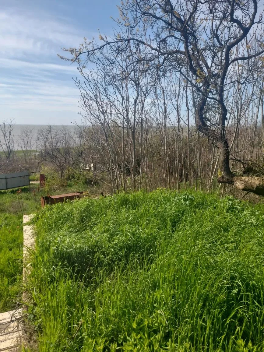 Продаю участок 11 соток, с. Приморка. - миниатюра 2