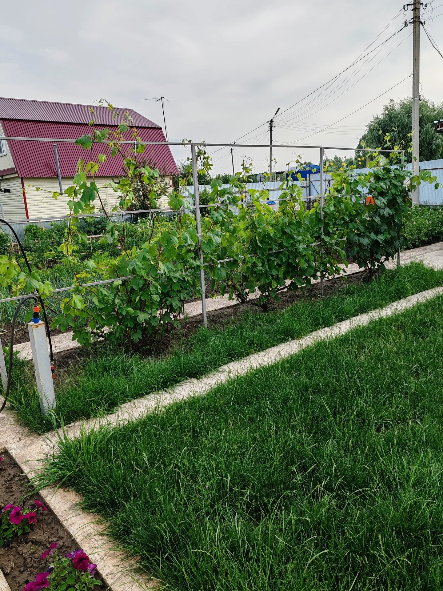 Продам дачу - миниатюра 24