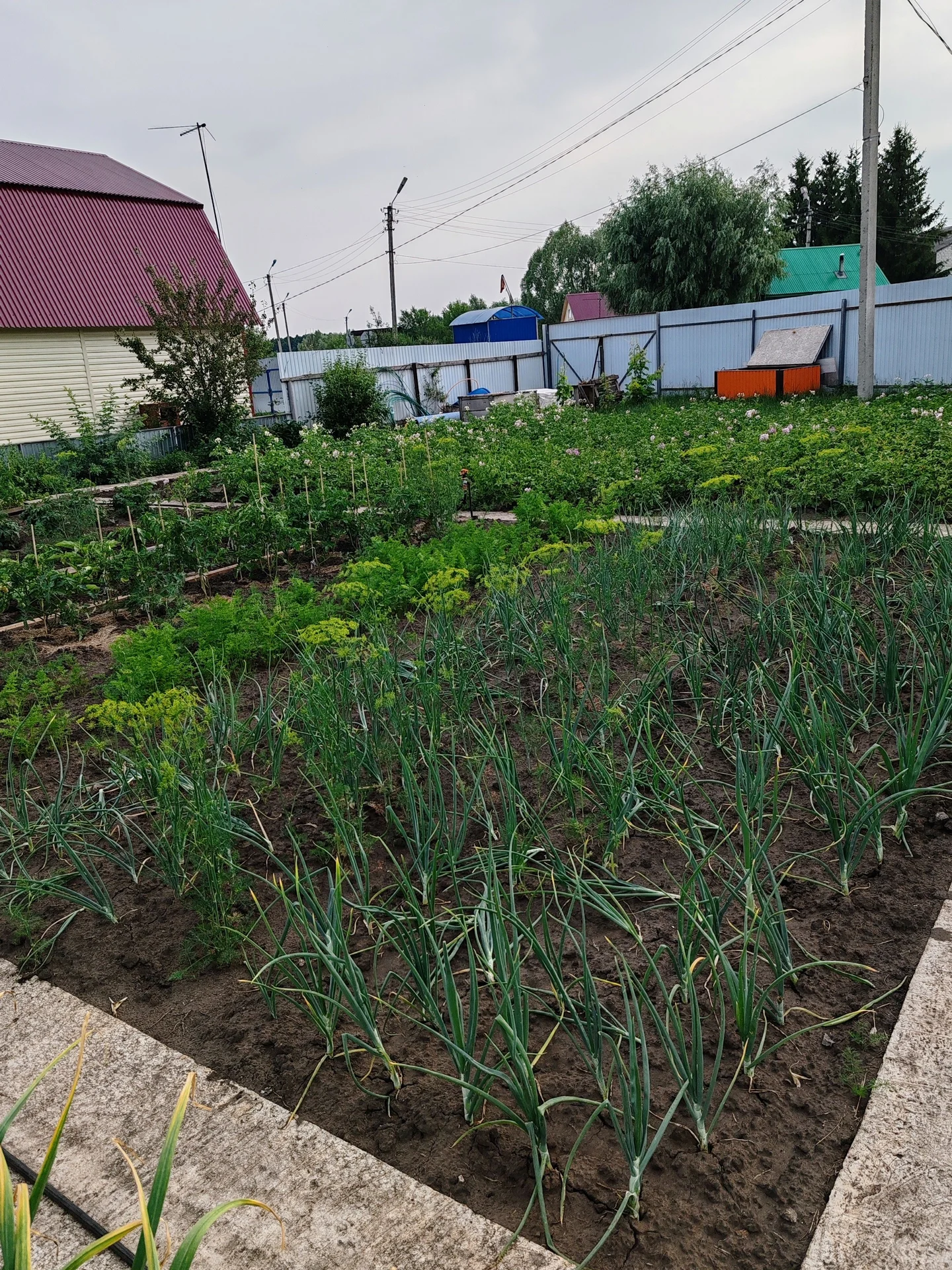Продам дачу - миниатюра 25