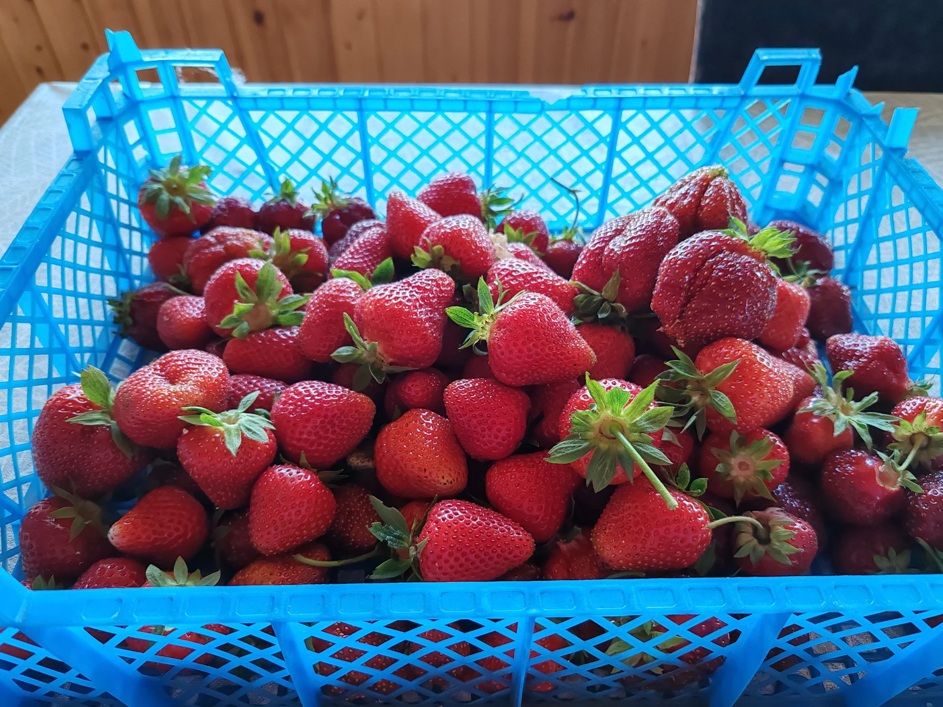 Продам дачу - миниатюра 28