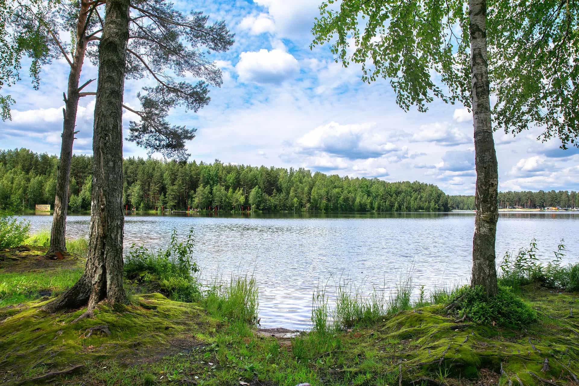 ПРОДАЖА УЧАСТКОВ В КП КОРККИНА ПАРК | ВСЕВОЛОЖСКИЙ РАЙОН | 15-20 МИНУТ ДО КАД | ОТ 1 633 500 ₽
