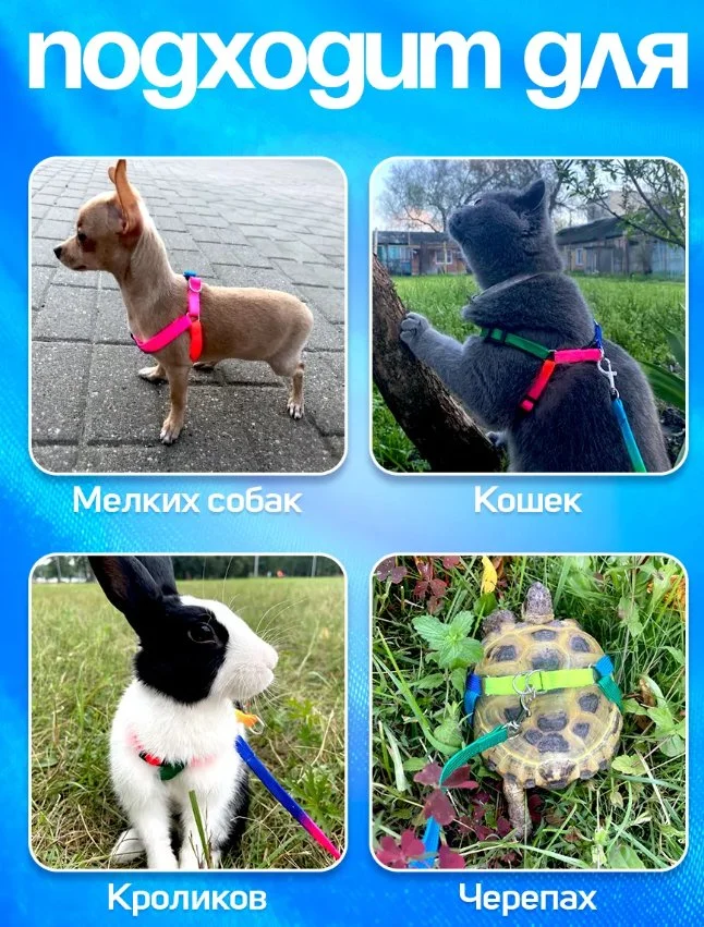 Шлейка для собак и кошек с поводком для мелких и средних пород - миниатюра 3