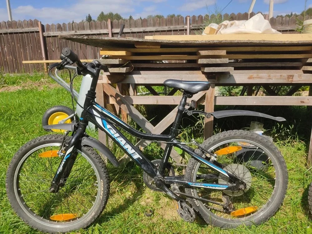 Велосипед Giant Revel Jr Lite 20 подростковый - изображение 1