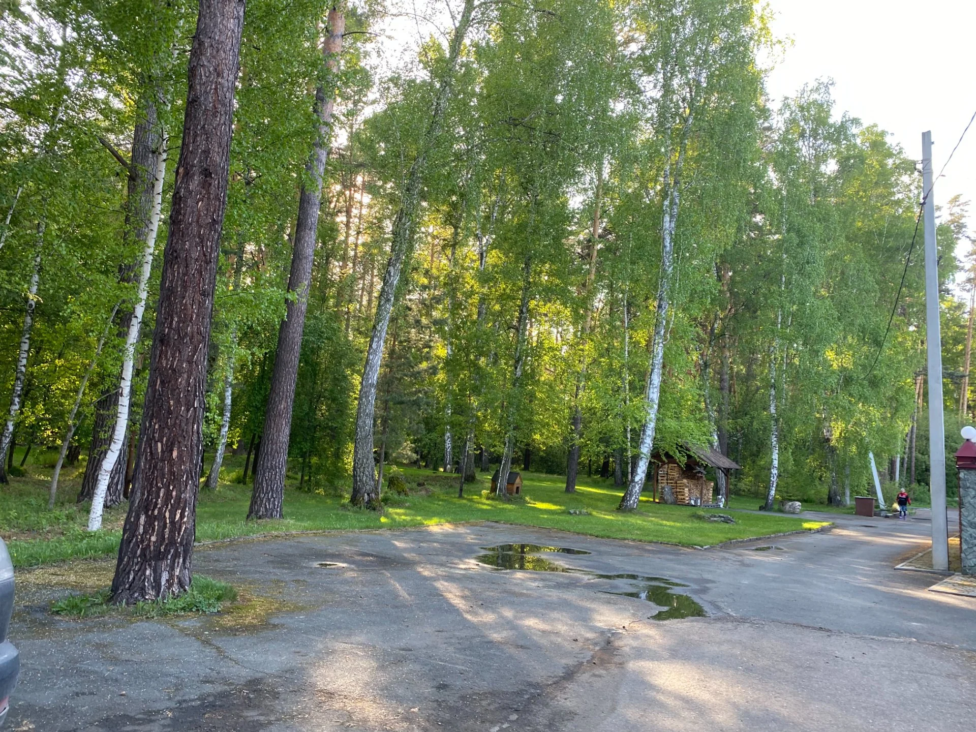 Коттедж в лесу - миниатюра 4