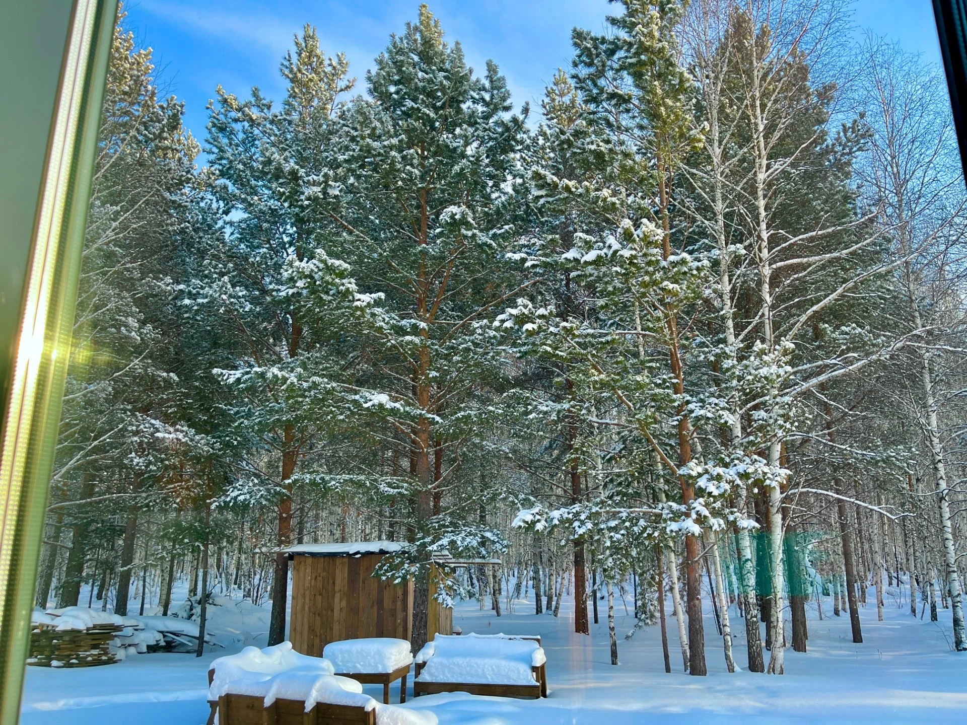 Загородный дом у леса - миниатюра 34