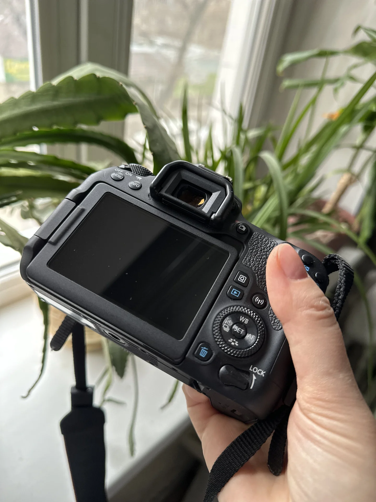 Профессиональный фотоаппарат Canon - миниатюра 2
