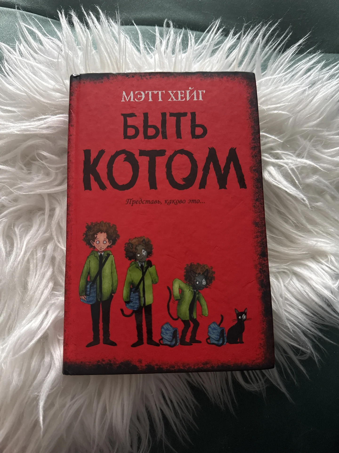 Быть котом Мэтт Хейг - изображение 1