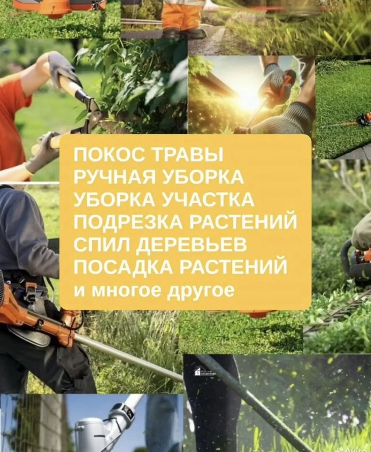 Обработка вашего сада отвредителей - изображение 1