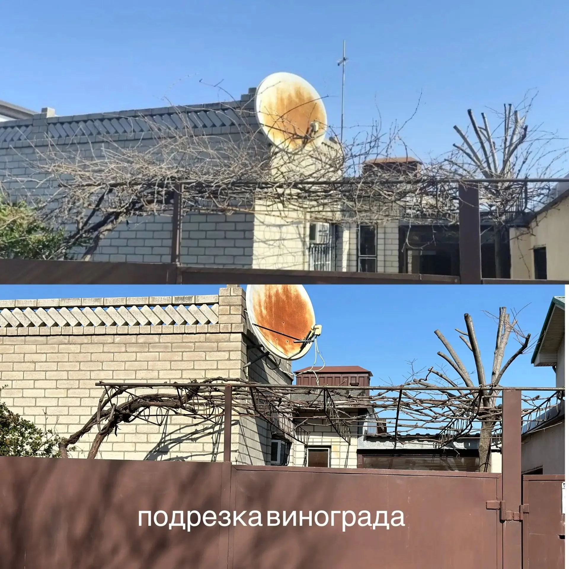Спил деревьев,кронирование,подрезка - миниатюра 4