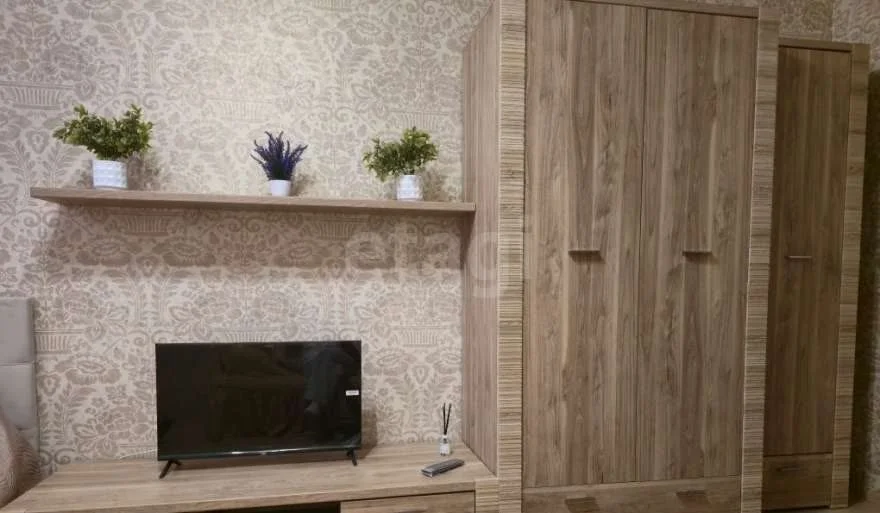 1-к квартира, 39м² (Восточно-Кругликовская улица, 30) - миниатюра 5